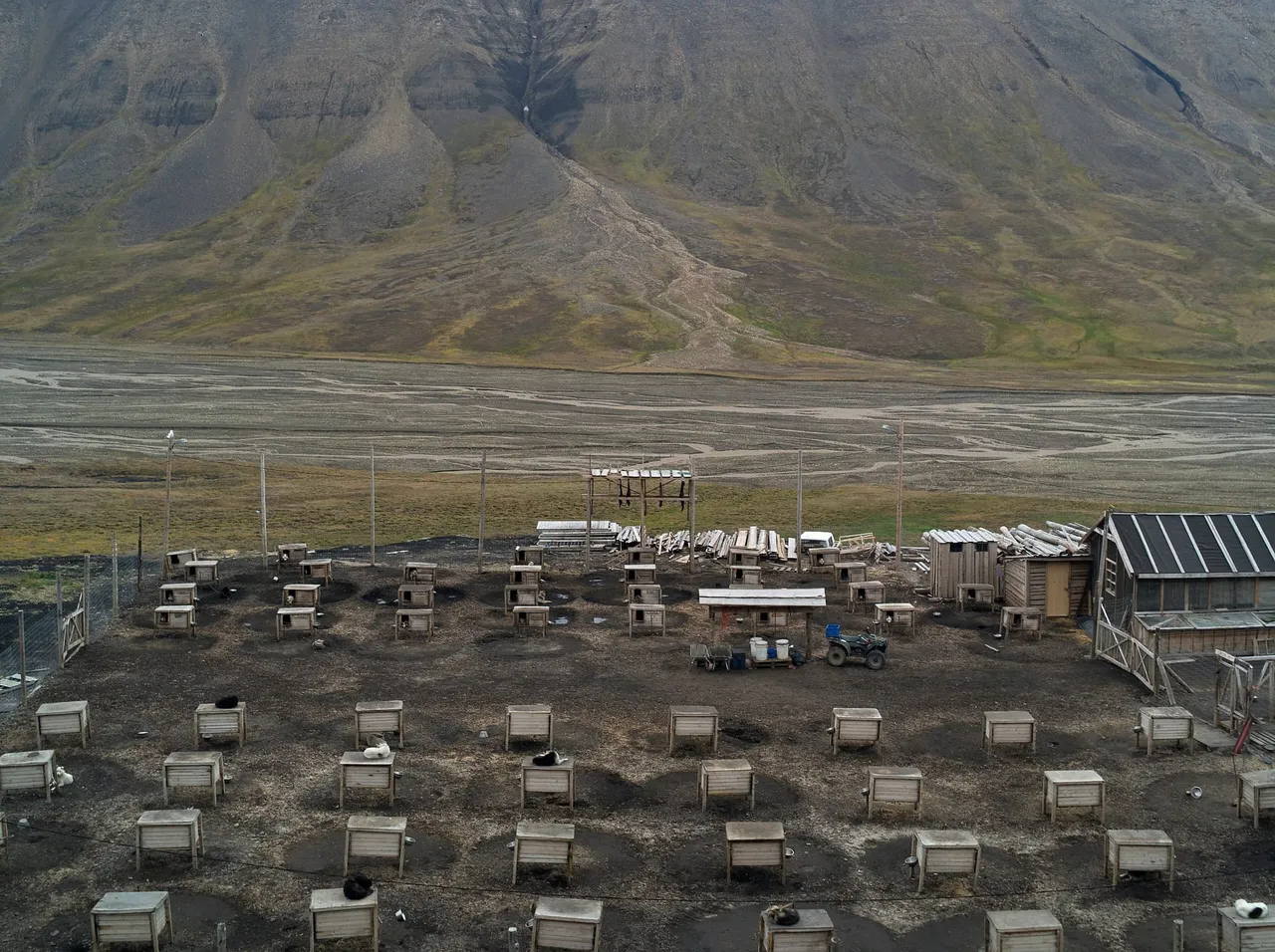 Rows of small wooden dog houses in a fenced dog yard on bare ground, below a steep brown mountainside