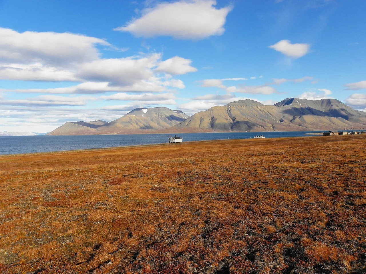 Rust-red and golden tundra stretching to the shore of a fjord, with brown mountains under a blue sky with white clouds